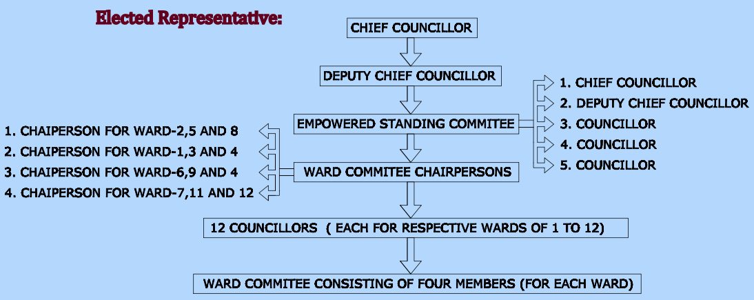 Elected representative organisation chart